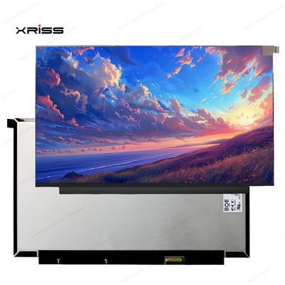 جودة  13.3 Inch Touch Screen For Lenovo ThinkBook 13x ITG Notebook PC Digitizer Assembly Replacement مصنع